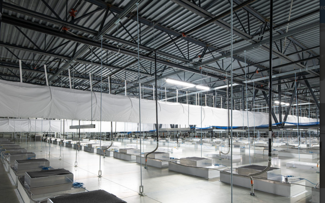 風扇過濾器單元和空氣處理單元：有什么區(qū)別？