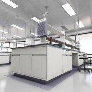 建立GMP實(shí)驗(yàn)室目的是什么？