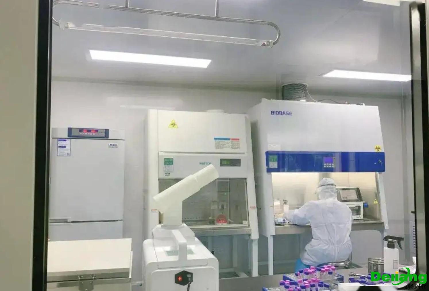 微生物實(shí)驗(yàn)室效果圖