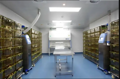 動(dòng)物實(shí)驗(yàn)室施工費(fèi)用多少錢(qián)