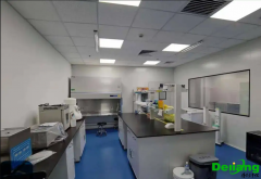 實驗室施工規(guī)范及施工安全性