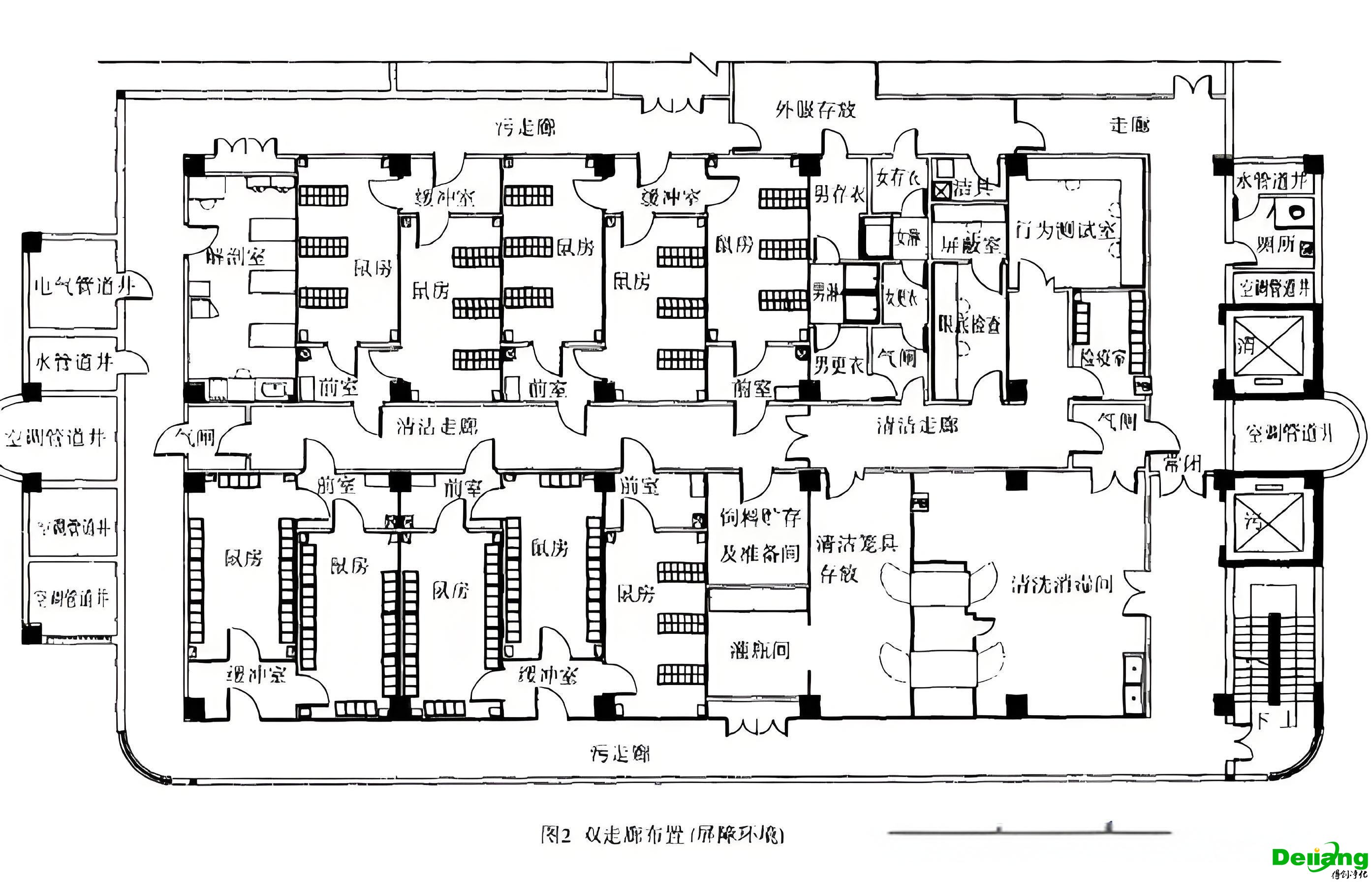 動物實驗室平面布局圖