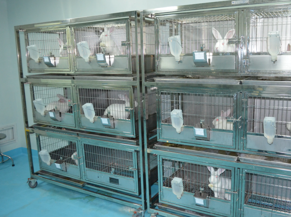 動物實驗室效果圖